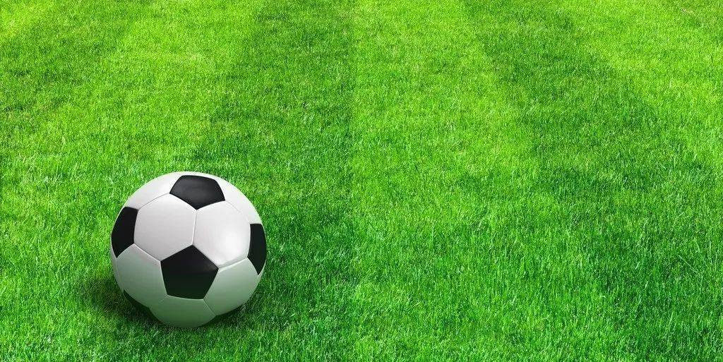 体育媒体工作者使用场景